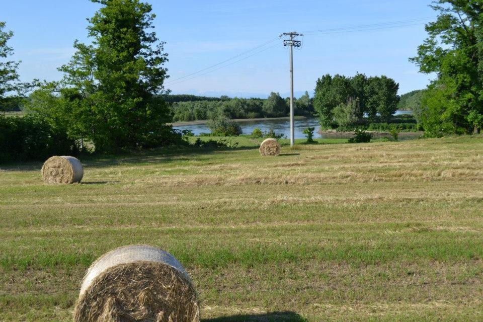 Agriturismo Il Campagnino Κρεμόνα Εξωτερικό φωτογραφία