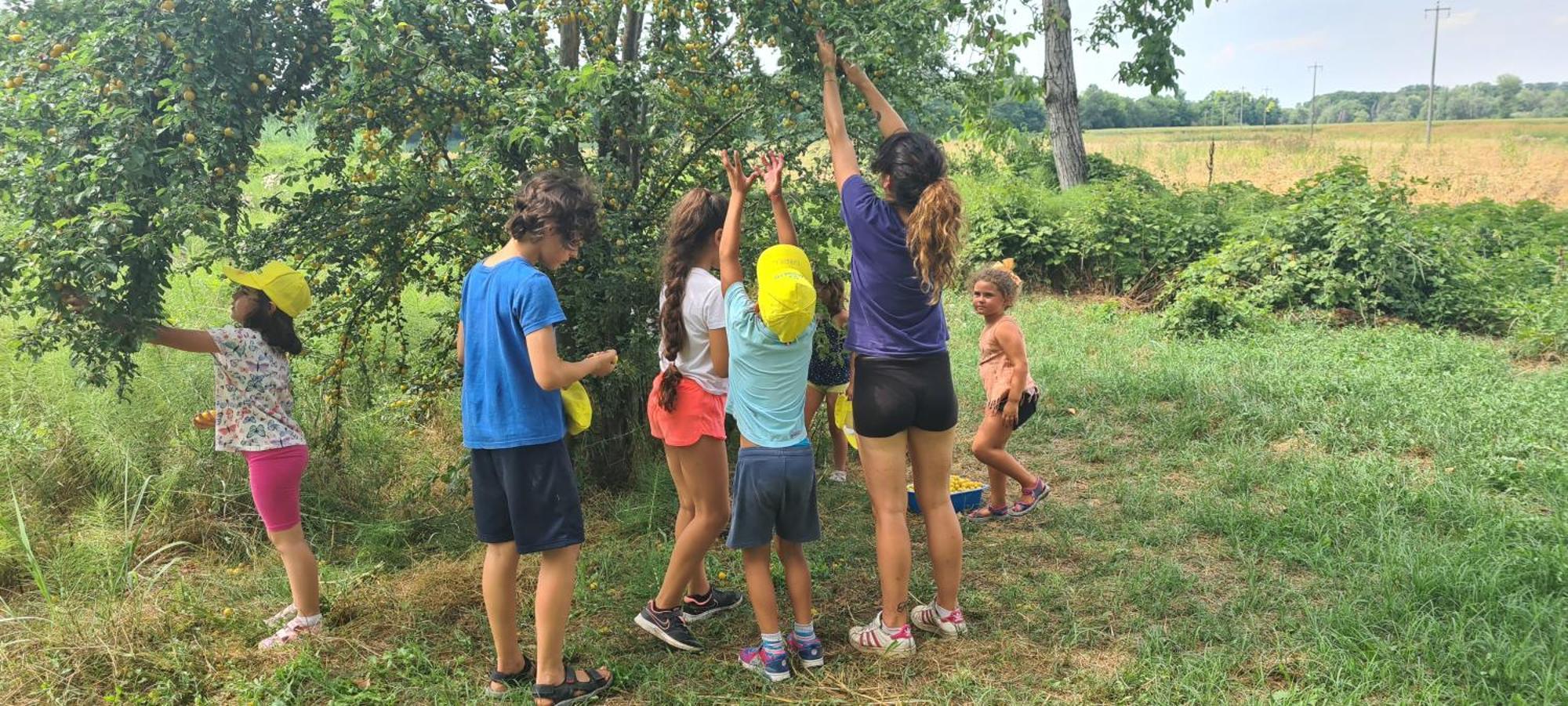 Agriturismo Il Campagnino Κρεμόνα Εξωτερικό φωτογραφία
