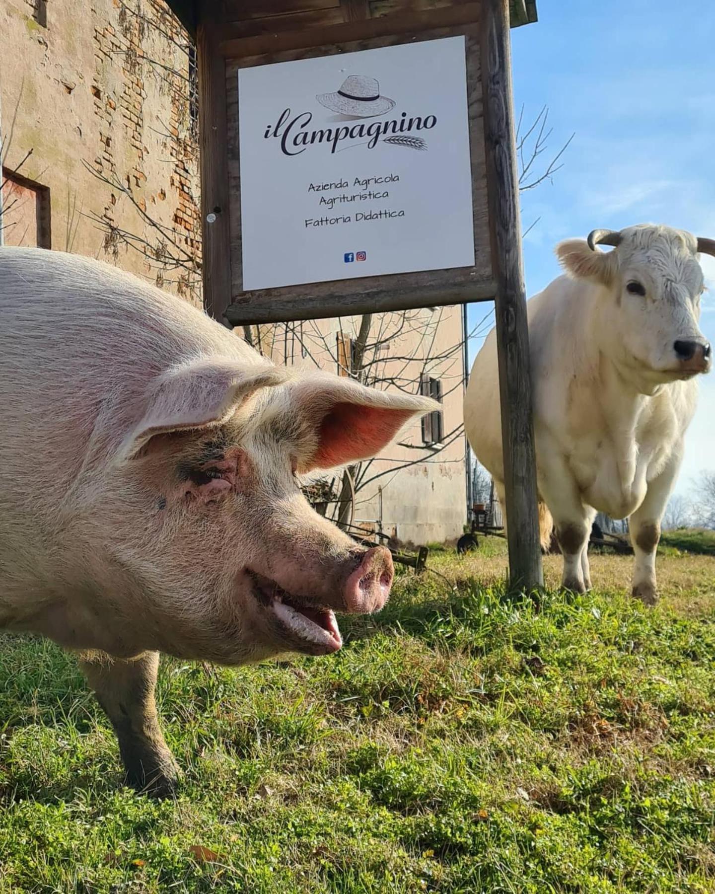 Agriturismo Il Campagnino Κρεμόνα Εξωτερικό φωτογραφία