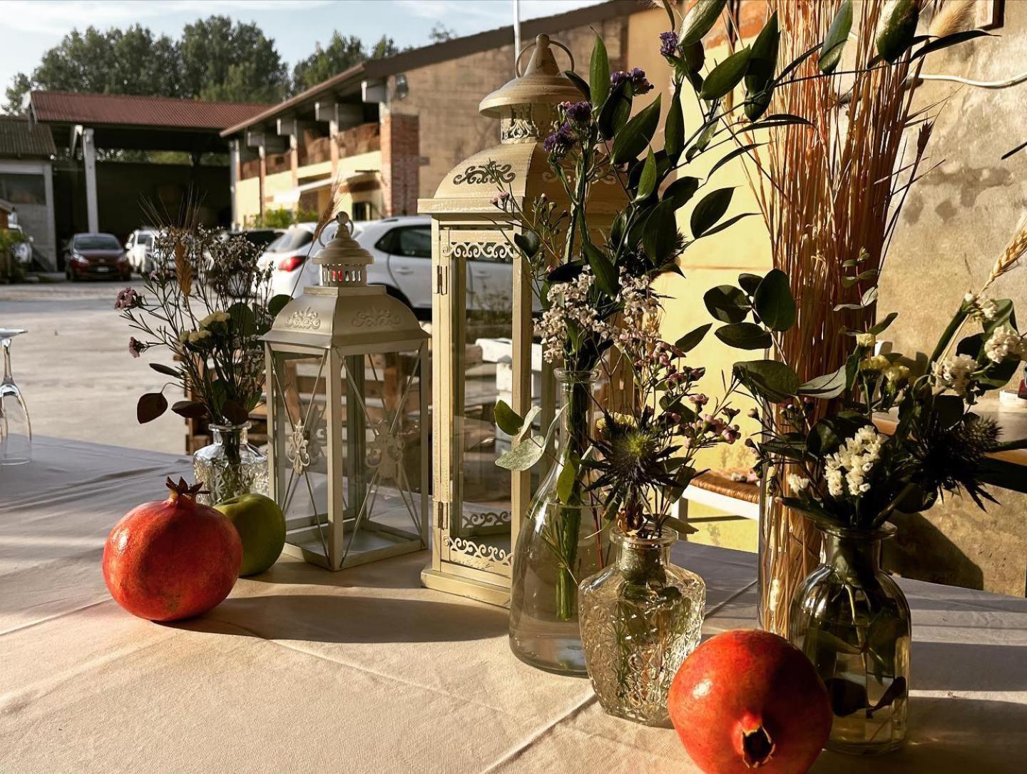 Agriturismo Il Campagnino Κρεμόνα Εξωτερικό φωτογραφία