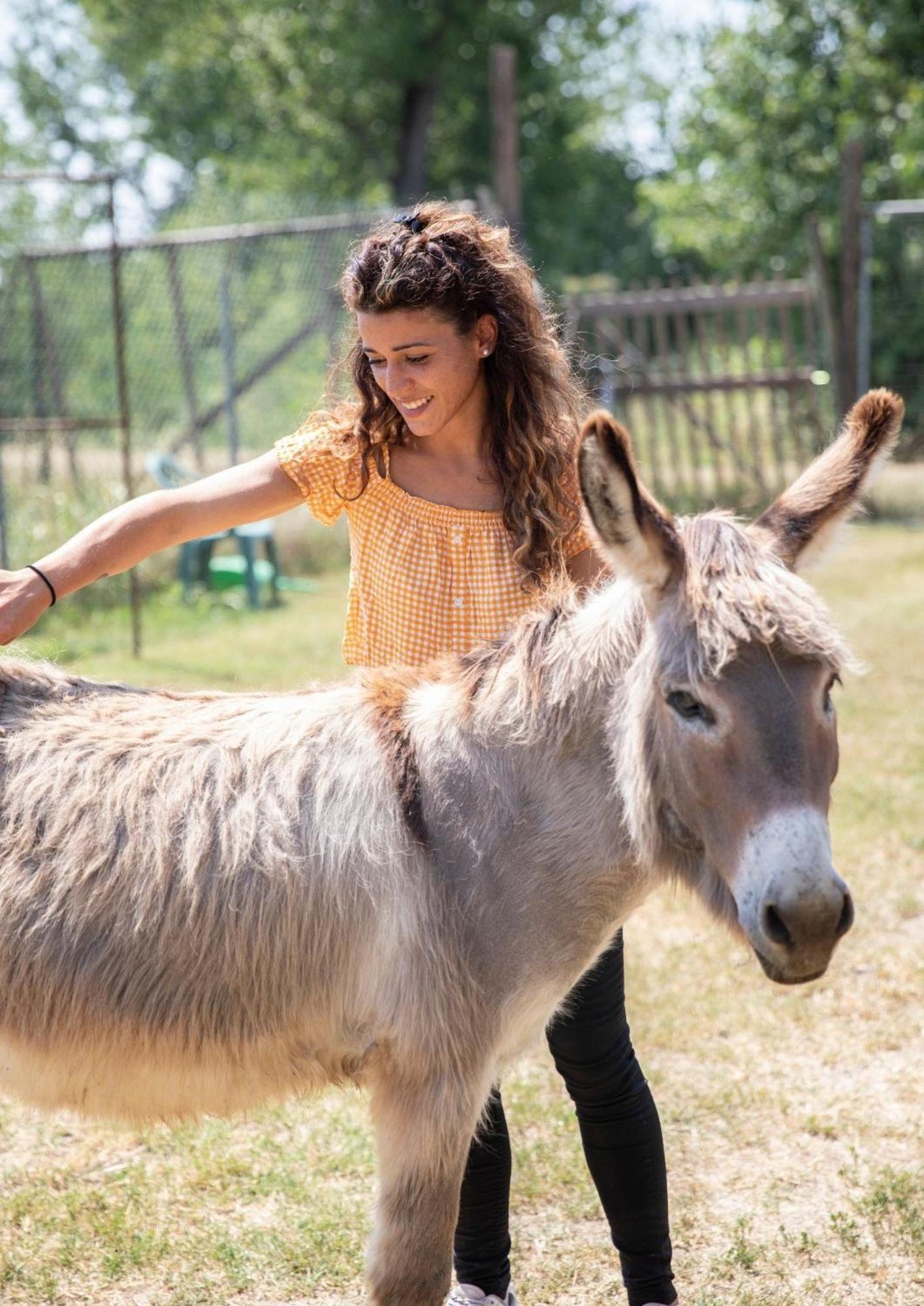 Agriturismo Il Campagnino Κρεμόνα Εξωτερικό φωτογραφία
