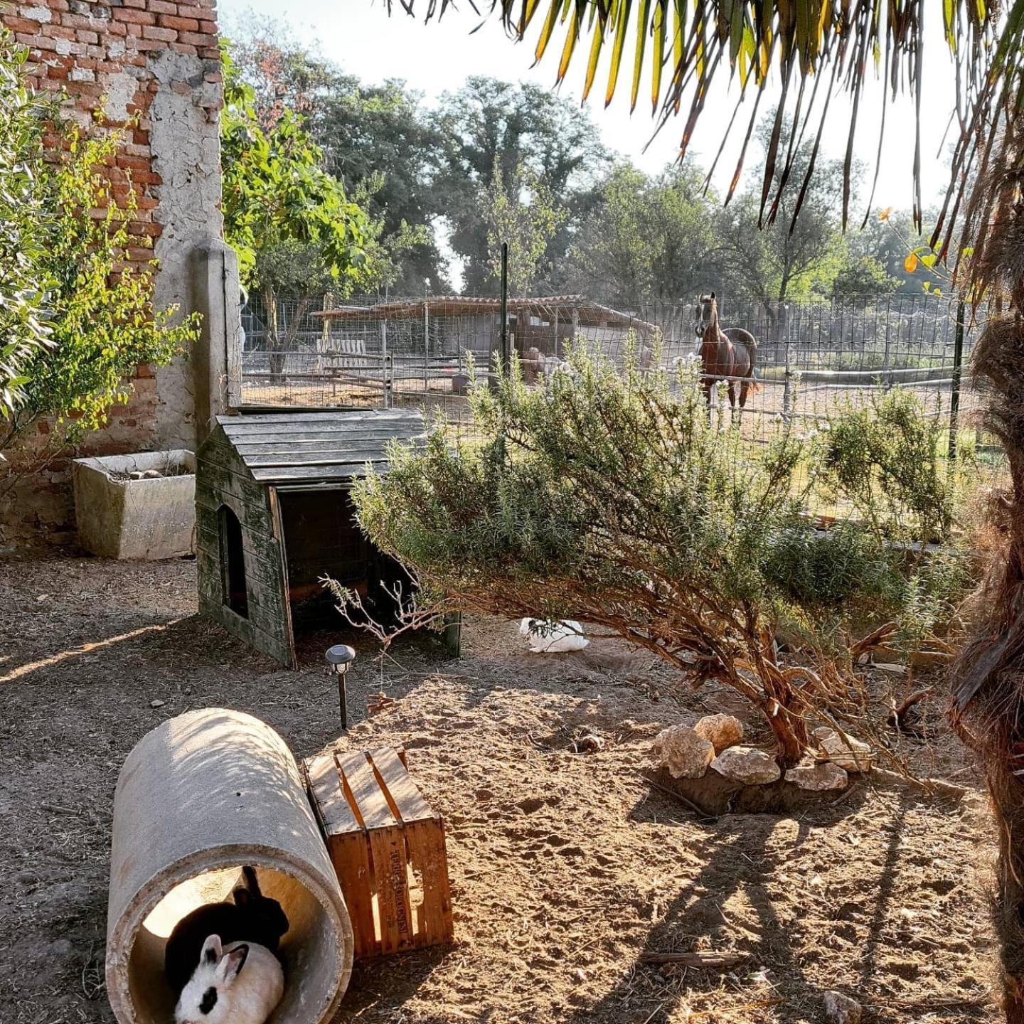 Agriturismo Il Campagnino Κρεμόνα Εξωτερικό φωτογραφία
